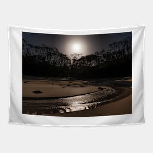 Quarry Beach Under Moonlight Tapestry