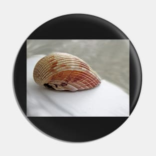 Shell On Board Pin