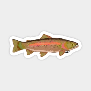 Rainbow Trout Magnet