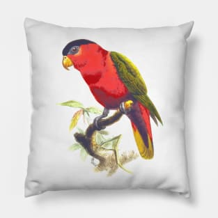 Parrot. Pillow
