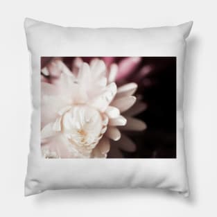 Dry Flower Pillow