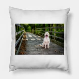 Happy Dog On The Trail 1 Pillow