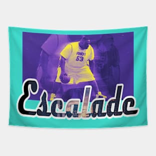 Retro Street Ballers - AND1 - ESCALADE Tapestry