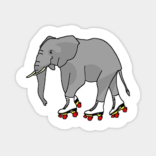 Elephant on skates Color Magnet