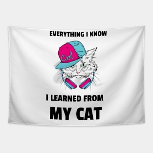 everything I know I learned from my cat Tapestry