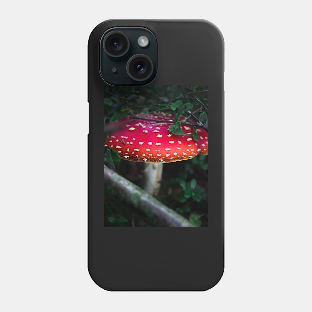 Bright red magical mushroom with white spots deep in the forest Phone Case by chiaravisuals