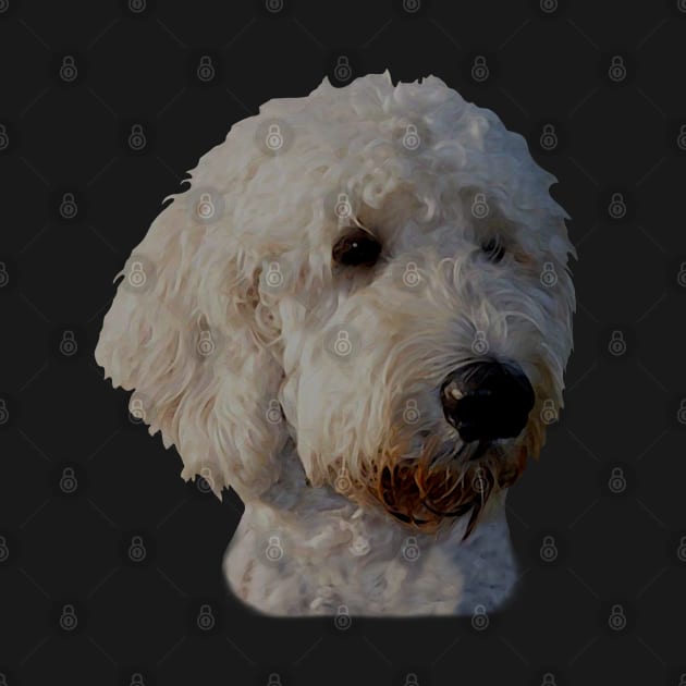 Blonde Goldendoodle Dog by WoofnDoodle 