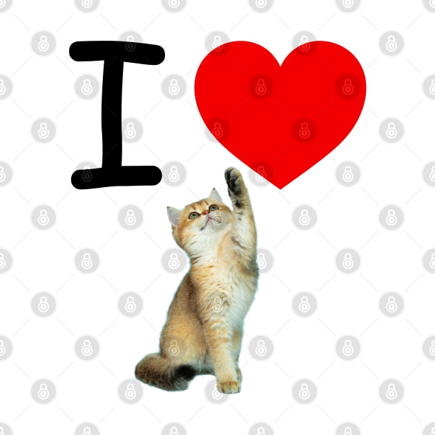 I HEART CARMEL KITTEN by EmoteYourself