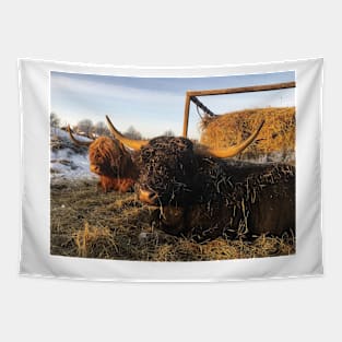 Scottish Highland Cattle Cow and Bull 2223 Tapestry