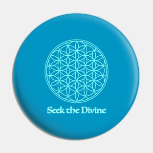 Seek the Divine Pin