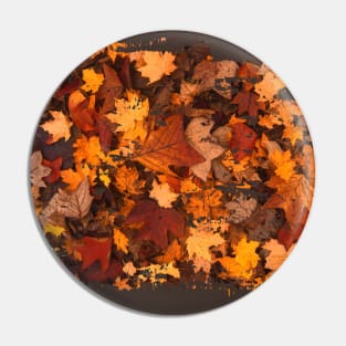 autumn leaves Pin