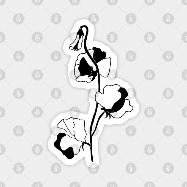 Black and White Sweet Pea Flower Magnet by bloomingviolets