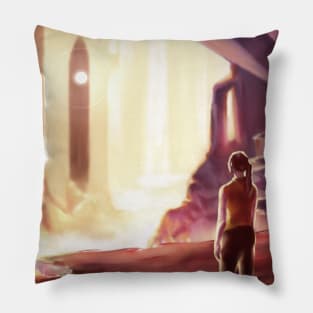 What am I looking for (2 - color) Pillow