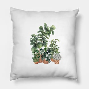 House Plants Illustration 9 Pillow