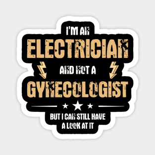 Funny Electrician Journeyman Dirty Jokes Adult Humor Magnet