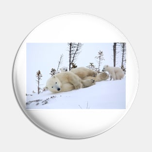 Mother polar bear stretching Pin