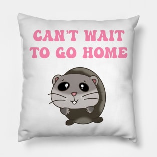 Can’t wait to go home Pillow