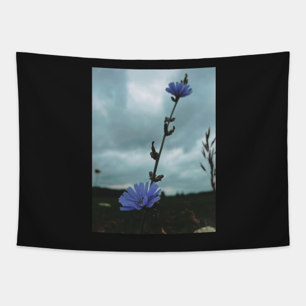 Wildflowers Tapestry by hgrasel