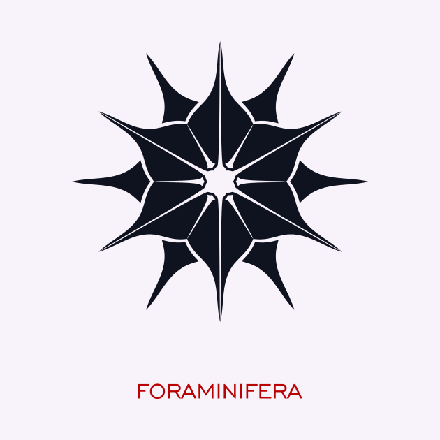 Foraminifera by masha