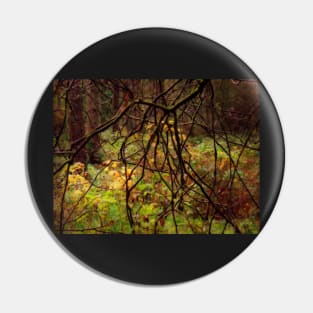 The Mystery of Stockhill Forest Pin