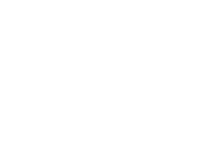 Donkey Slayer Poker T-Shirt Magnet