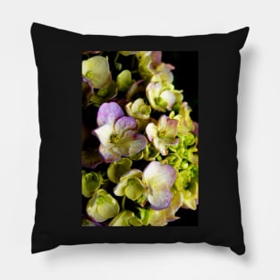 Dark Hydrangea Pillow