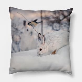 Snow Shoe Hare Pillow