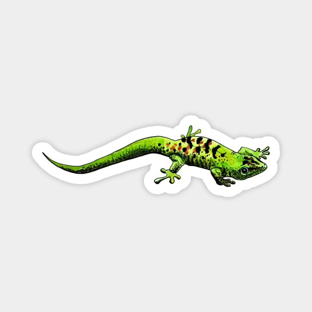 gecko Magnet by VicaVeresk