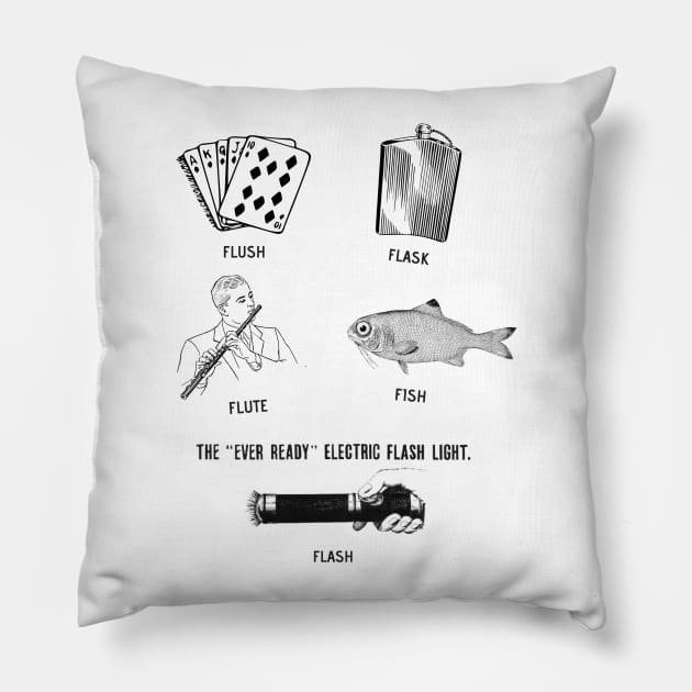 Flush Flask Flute Fish Flash Fun Pillow by maryhiroseartworks