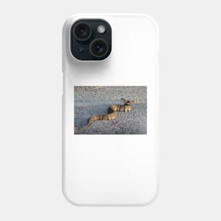 Cottonmouth Full Body Phone Case