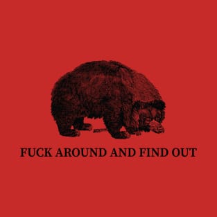 Fuck Around and Find Out T-Shirt