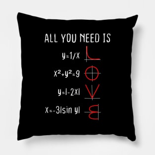 Love Valentine Romantic Irony Physics Maths Teacher Student Gift Pillow