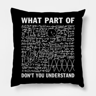 What Part of Don't You Understand Funny Math Teacher Gift Pillow