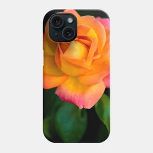 A Beautiful Arundel Rose Phone Case