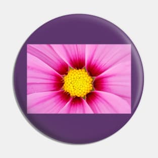 Closeup of pink flower with yellow stamens Pin