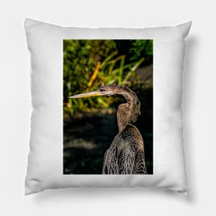 Anhinga Pillow