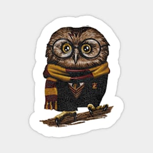 Owl bird wizard Magnet