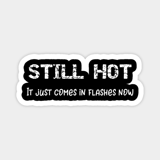 Still Hot It Just Comes in Flashes Now Magnet by DANPUBLIC