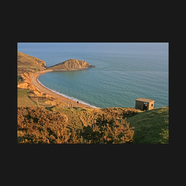 Worbarrow Bay and Tout by RedHillDigital