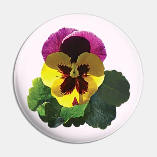 Purple and Yellow Pansy Pin