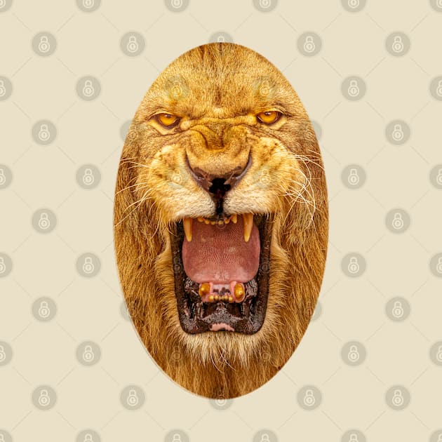 Snarling Lion Roar by dalyndigaital2@gmail.com