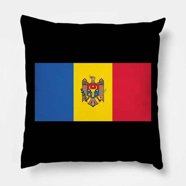 Moldova Pillow by Wickedcartoons