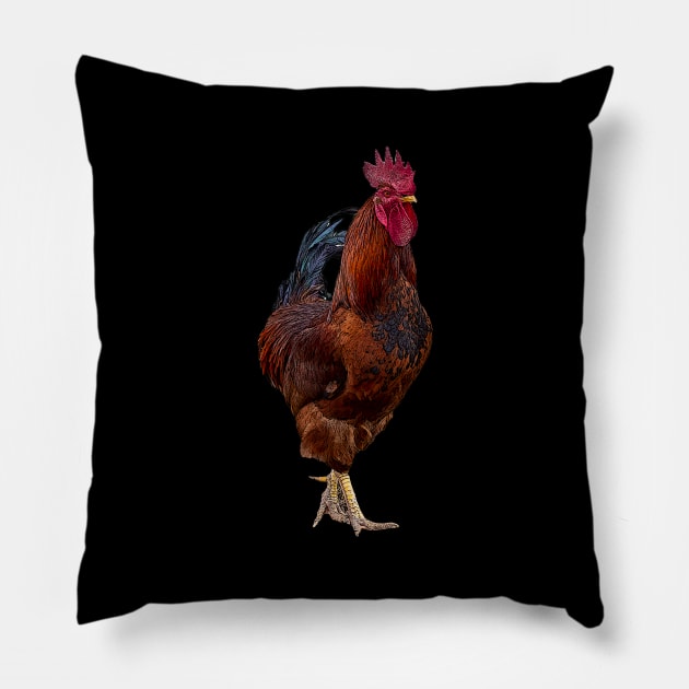 rooster Pillow by rickylabellevie