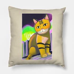 Colorful Cat Pillow