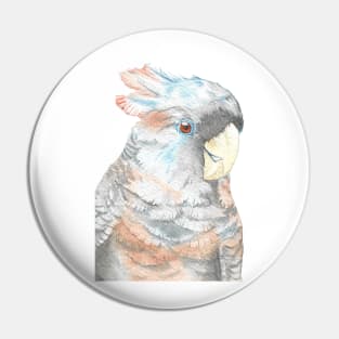 Baby gang-gang cockatoo watercolor portraint painting Pin