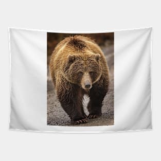 Grizzly Tapestry