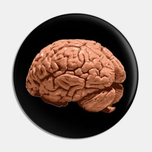 Real Human Brain Pin