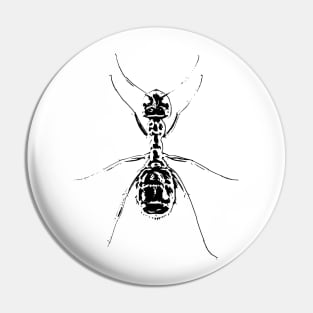 Ant Pin