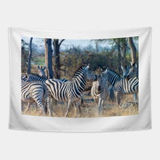 Zebra Herd in Moremi Game Reserve, Botswana Tapestry