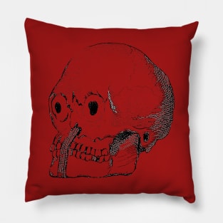 Weird Skull Pillow